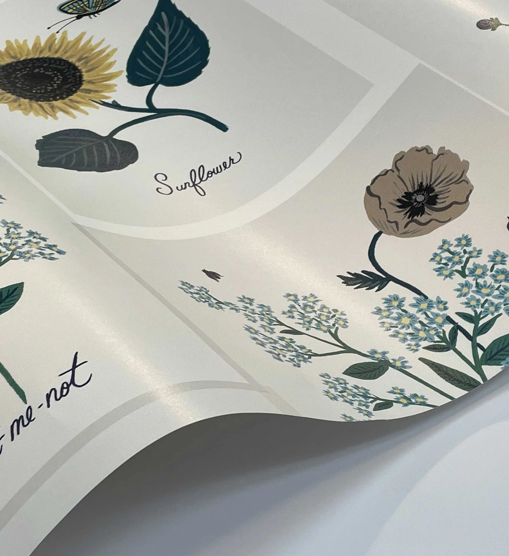 Botanical Prints Wallpaper - Indigo - Image 3