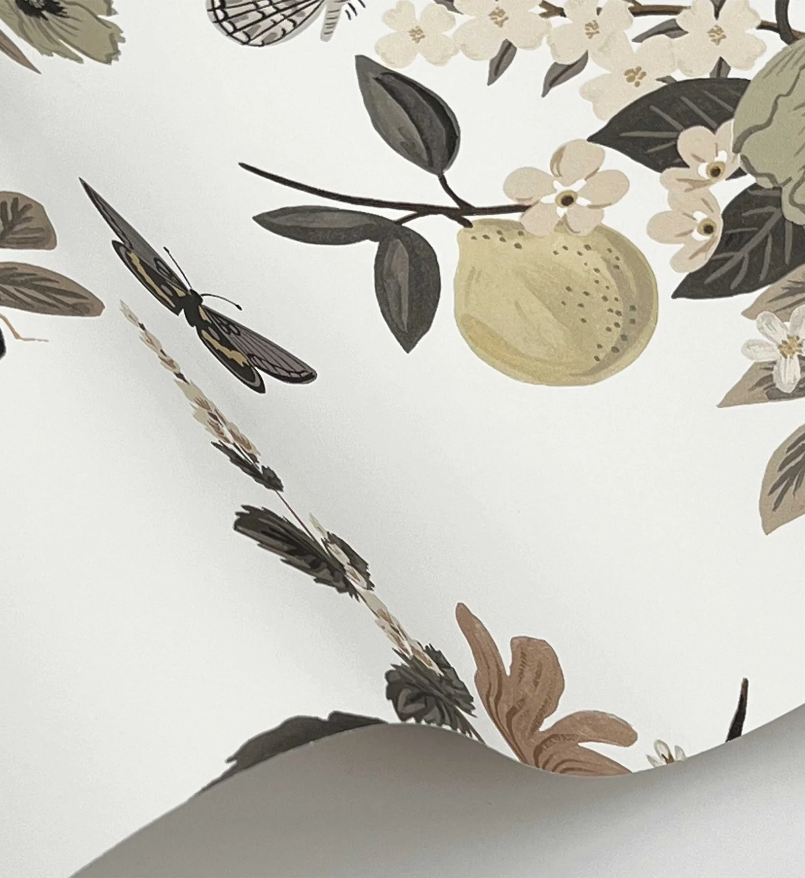 Flower Studies Wallpaper - Linen - Image 3