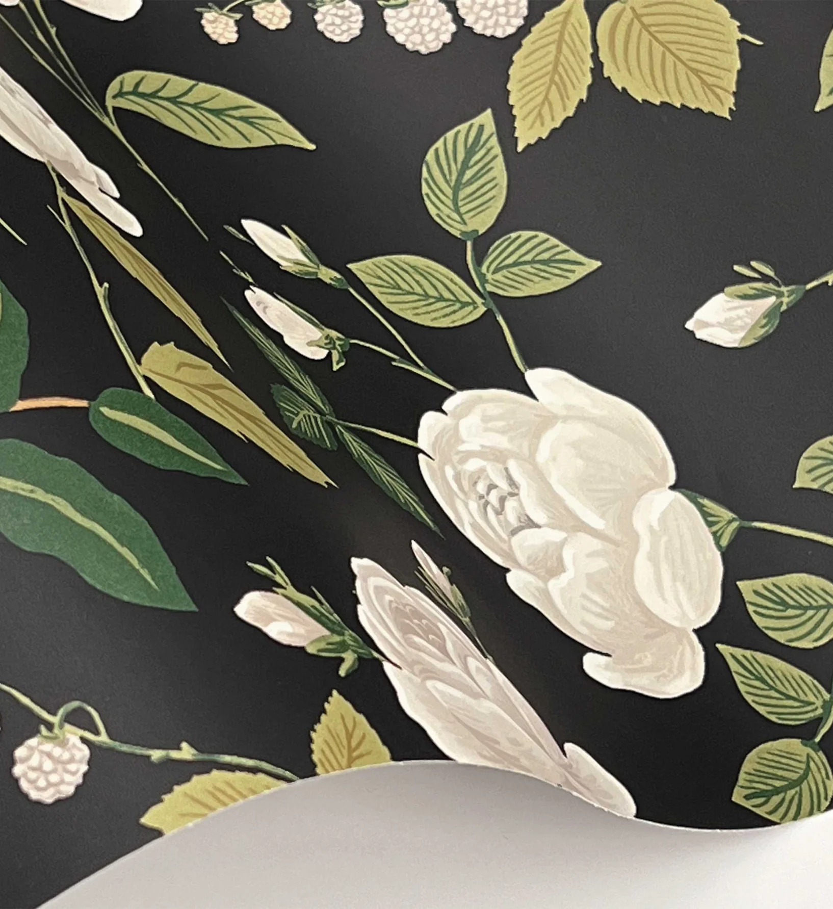 Roses Wallpaper - Black - Image 3