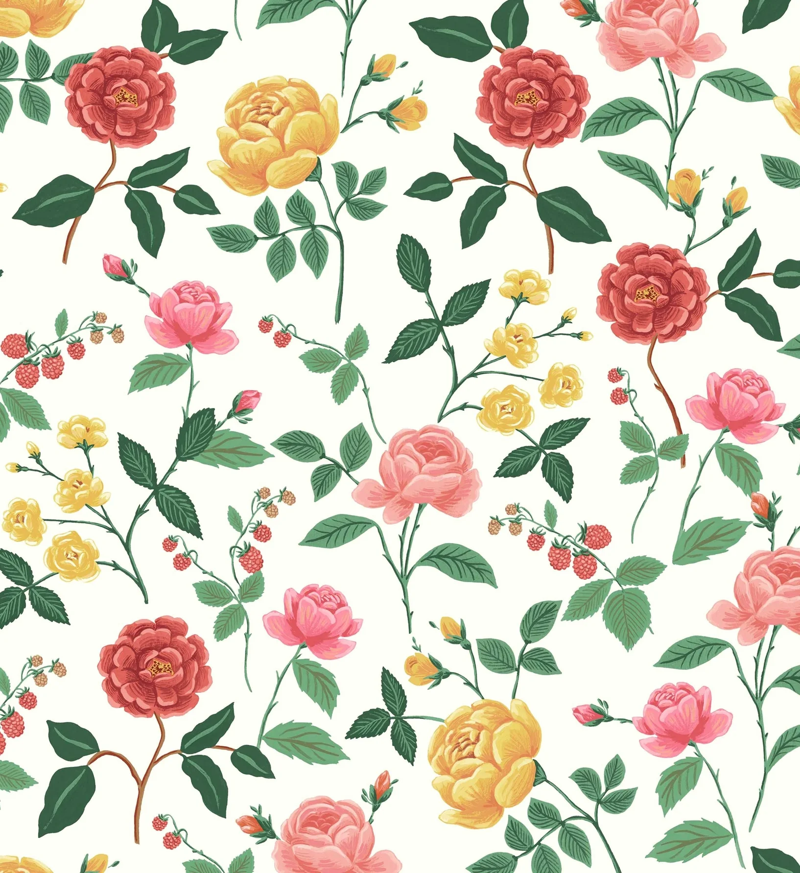 Roses Wallpaper - White & Blush - Image 2
