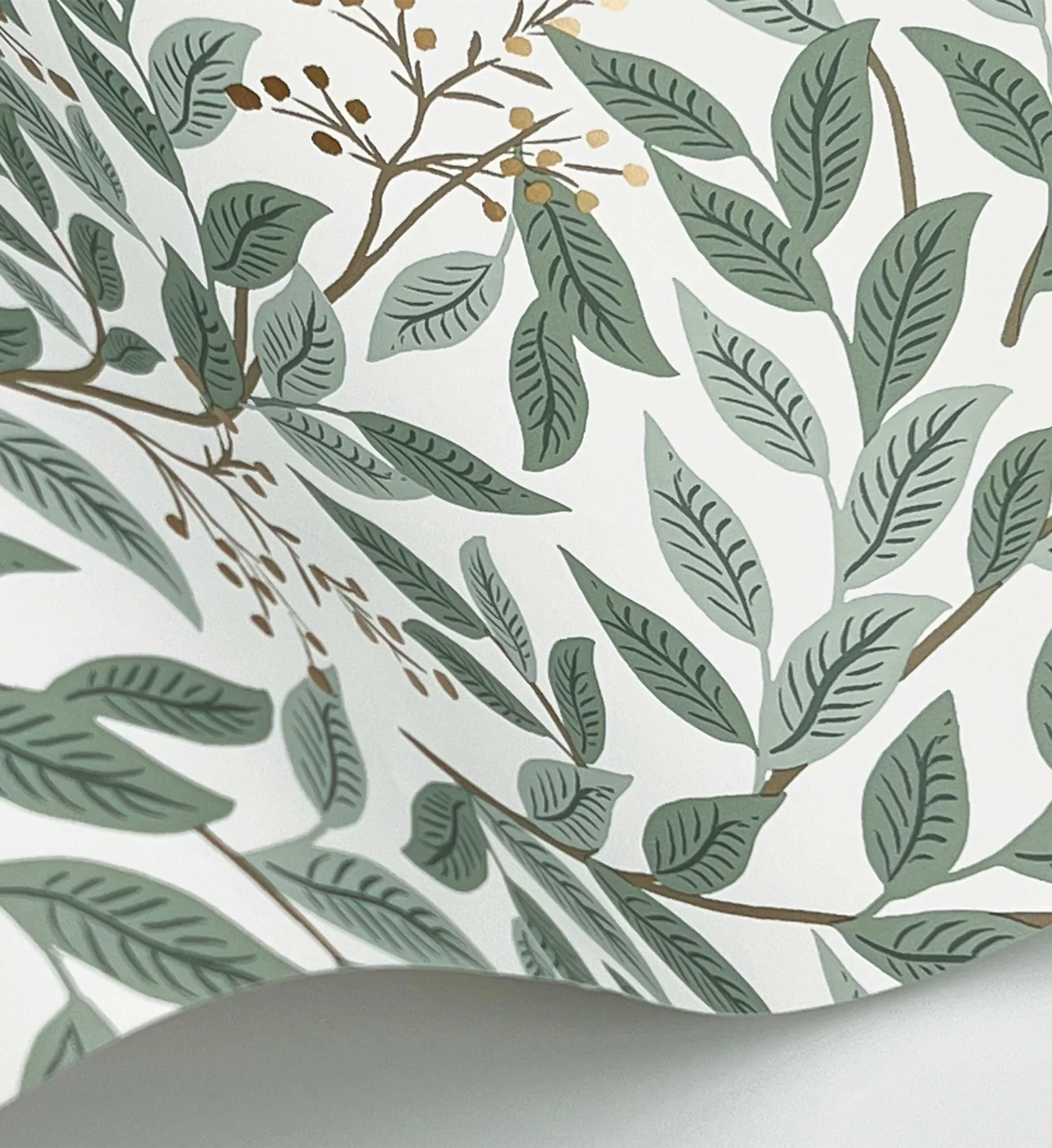 Willowberry Wallpaper - Sage & White - Image 4